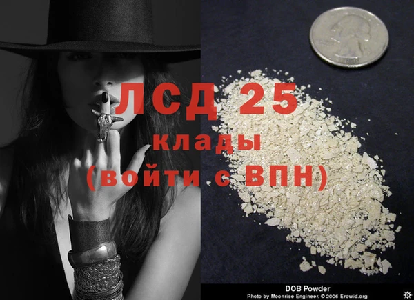 ALPHA PVP Каменногорск