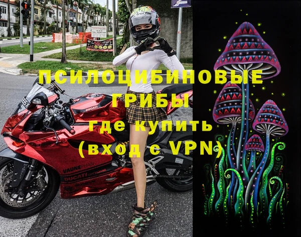 ALPHA PVP Каменногорск