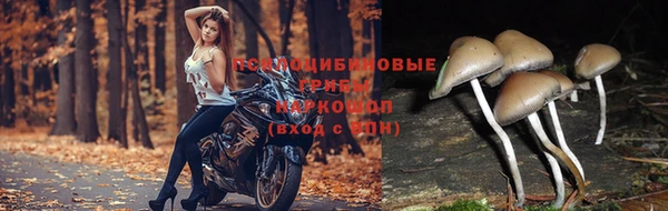прущая мука Касимов
